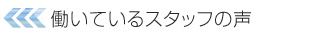 働いているスタッフの声